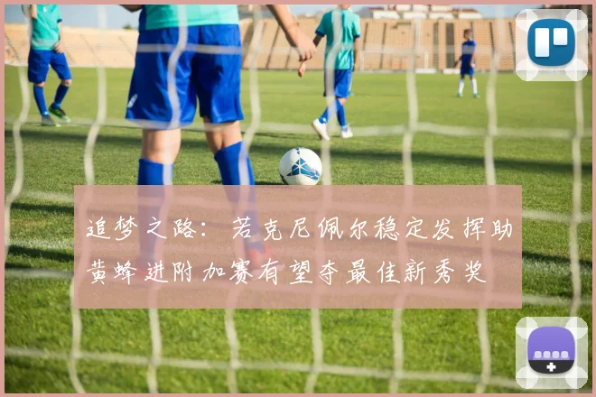 追梦之路：若克尼佩尔稳定发挥助黄蜂进附加赛有望夺最佳新秀奖